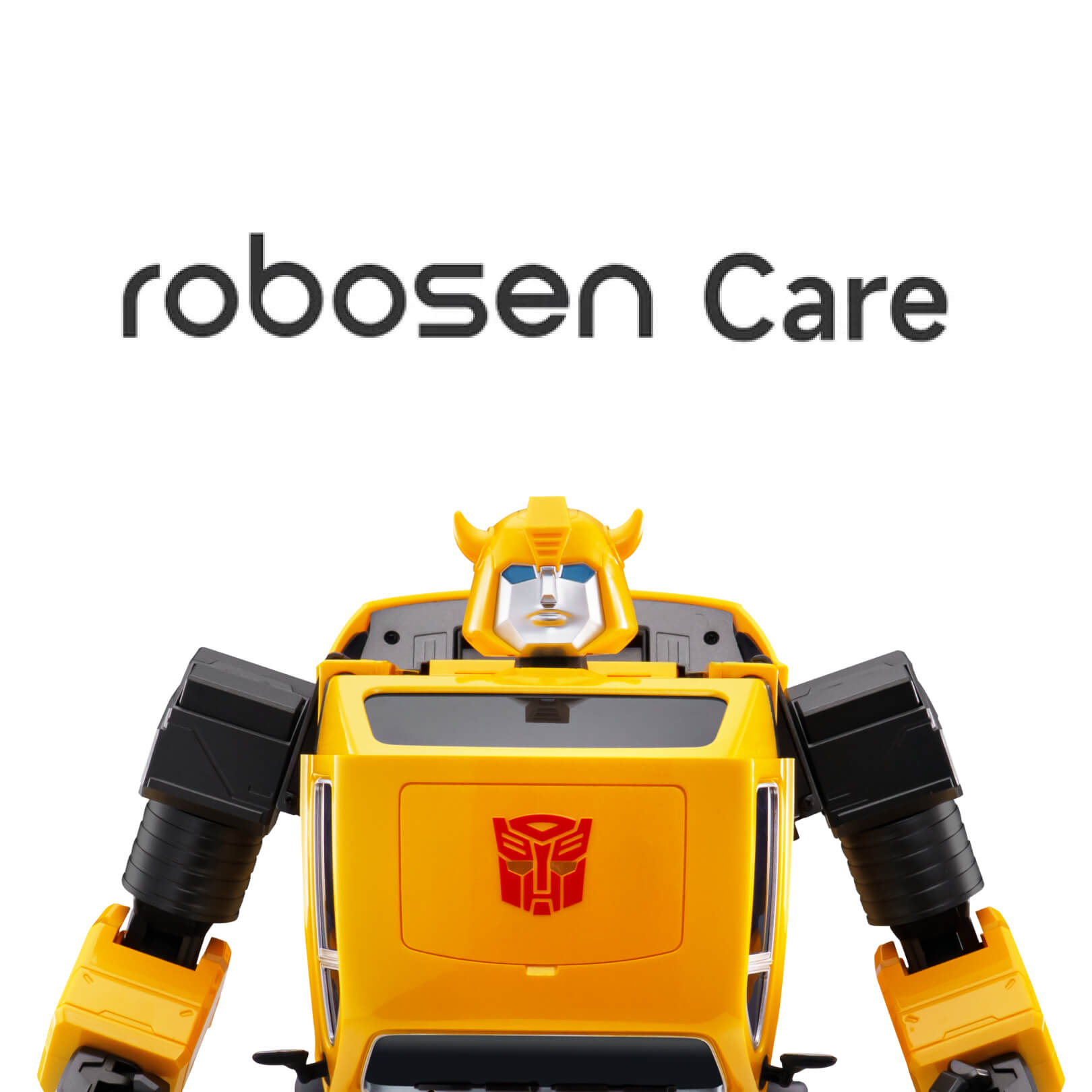 1-year Extended Warranty - Flagship Bumblebee